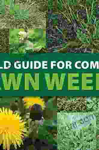 Identification And Control Of Common Weeds: Volume 3