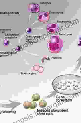 Tumor Microenvironment: Hematopoietic Cells Part B (Advances In Experimental Medicine And Biology 1273)